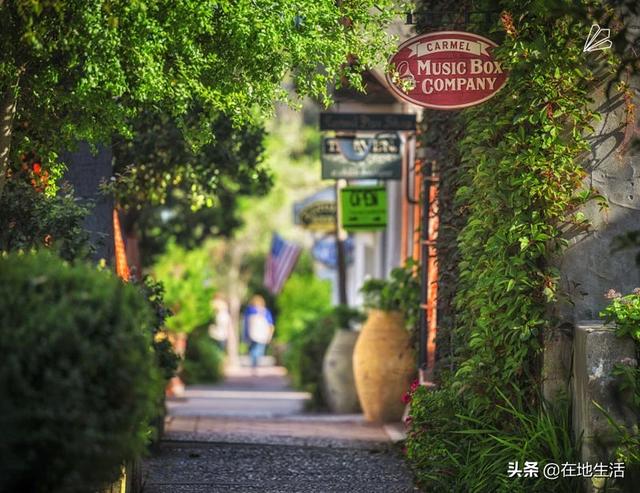 关于恢复旅行社企业部分经营活动的通知（旅游业什么时候恢复正常）