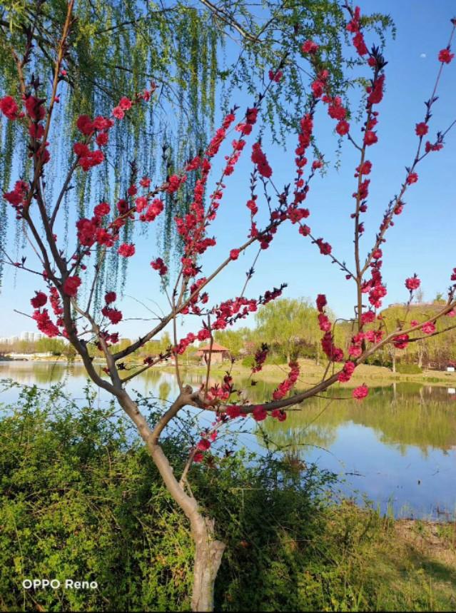 疫情原因不能去旅游看风景了，大家所在地有什么好看的风景照，求分享？