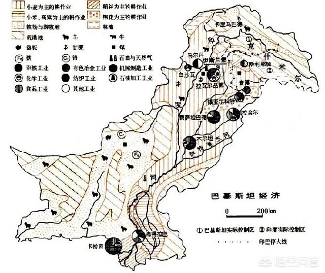 巴基斯坦到底是个什么样的国家（巴基斯坦是啥国家）