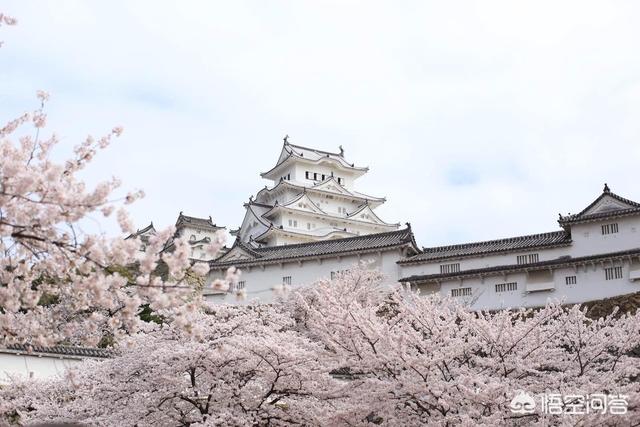 日本首都是东京么（日本东京是首都吗）