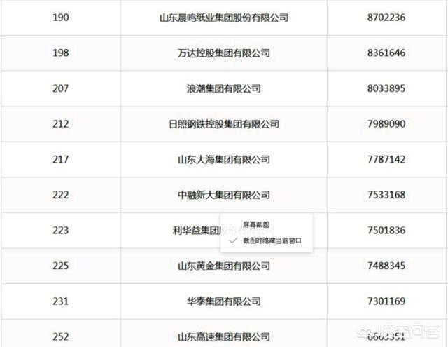 山东省的龙头企业（山东省十大企业）