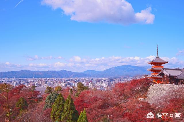 日本首都是东京么（日本东京是首都吗）