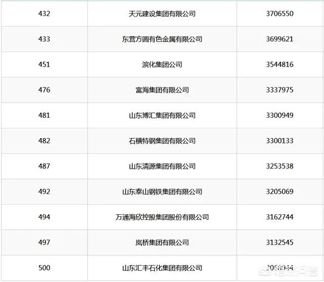 山东省的龙头企业（山东省十大企业）