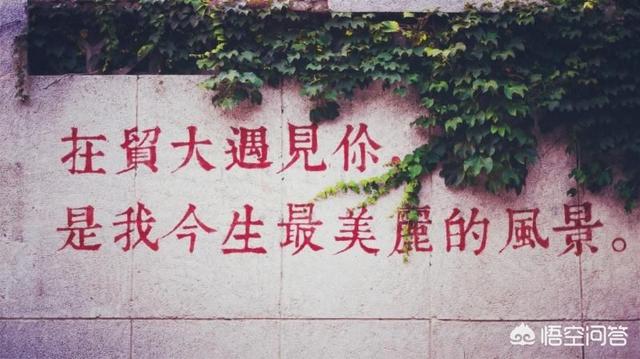 在用人单位（全国范围及北京本地）眼中，对外经贸大学是一所什么样的学校？