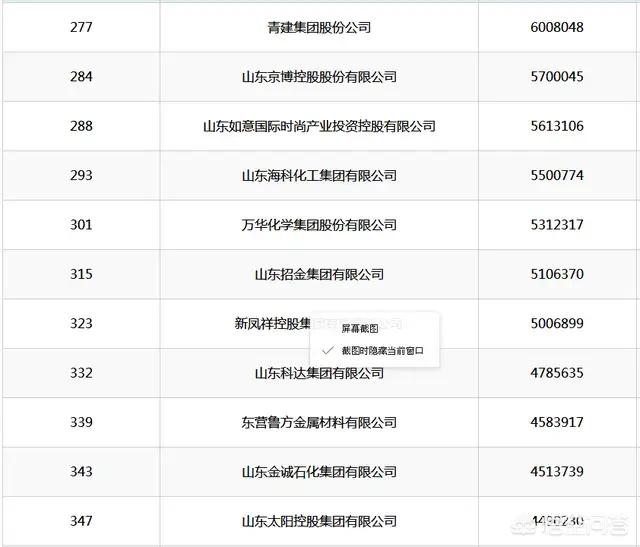 山东省的龙头企业（山东省十大企业）