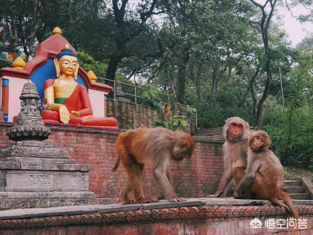 尼泊尔加德满都景点（加德满都主要景点?）