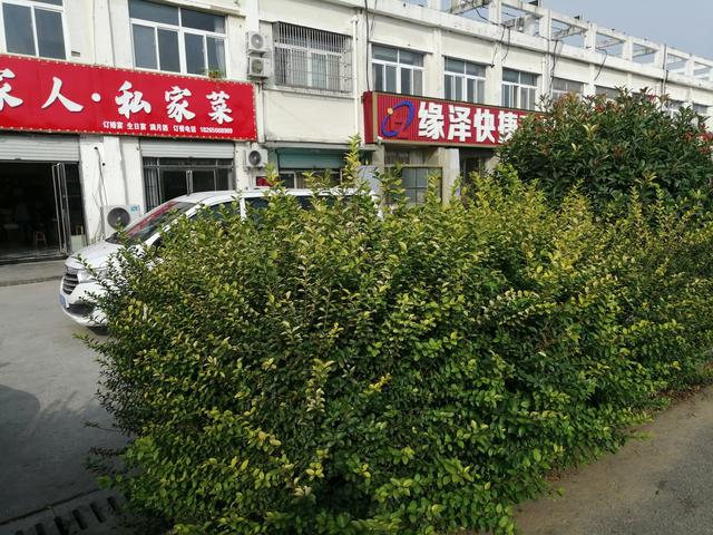 说说你的经历，开实体店被电商冲击，还扛得住吗，准备怎么解决？