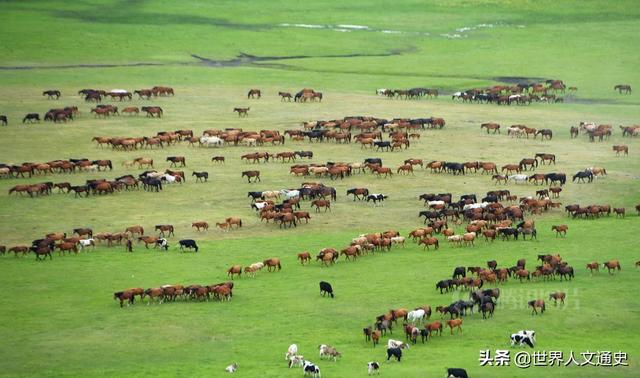 蒙古国还有汉族人吗（蒙古国是内蒙古人吗）