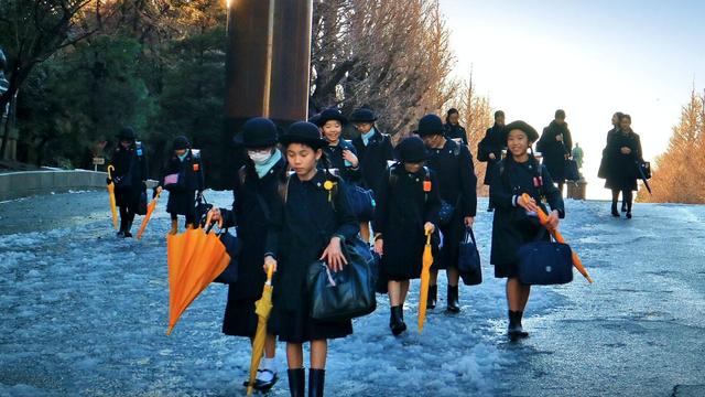 在日本生活容易吗（在日本生活是怎样一种体验）