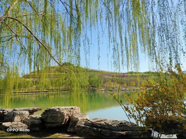 疫情原因不能去旅游看风景了，大家所在地有什么好看的风景照，求分享？