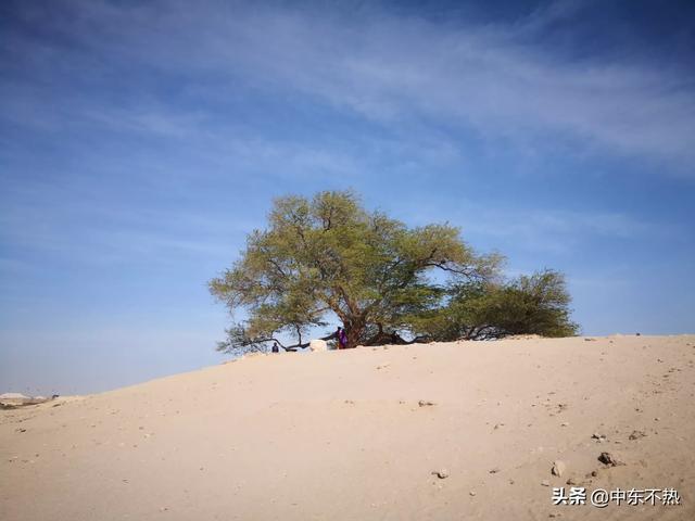 阿联酋迪拜旅游（去阿联酋旅游攻略）