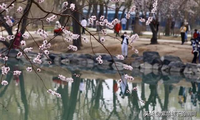 阳春三月，春暖花开，疫情没有彻底结束前适合外出旅游踏青吗？