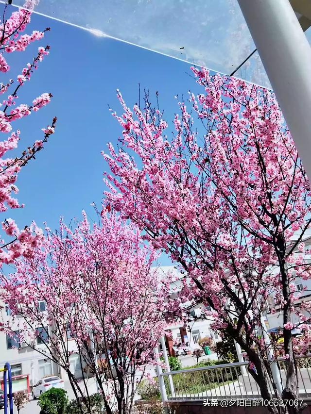 全球疫情还在蔓延，国内输入型病例还在增加，五一小长假去外地旅游风险大吗？