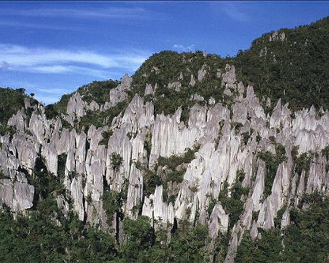 他们去马来西亚旅行了吗（去马来西亚旅游你有啥好的建议吗?）