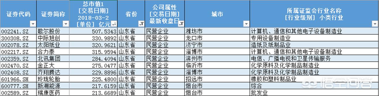 山东的民营企业（山东的企业有哪些）