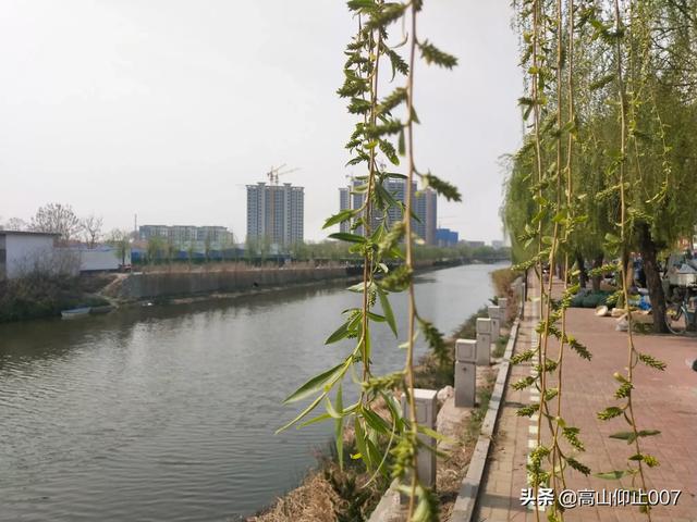 能跨省旅游吗现在（现在可以跨省旅游吗,有没有别的影响）