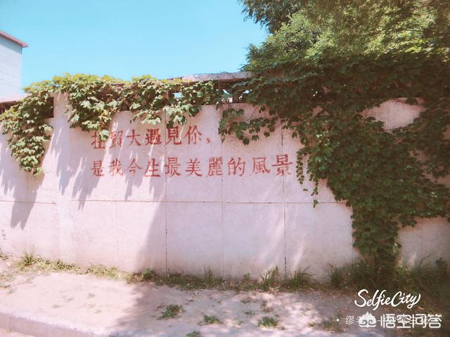 外经贸大学就业怎么样（对外经济贸易大学什么专业就业好）