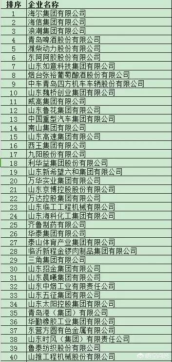 山东省的龙头企业（山东省十大企业）