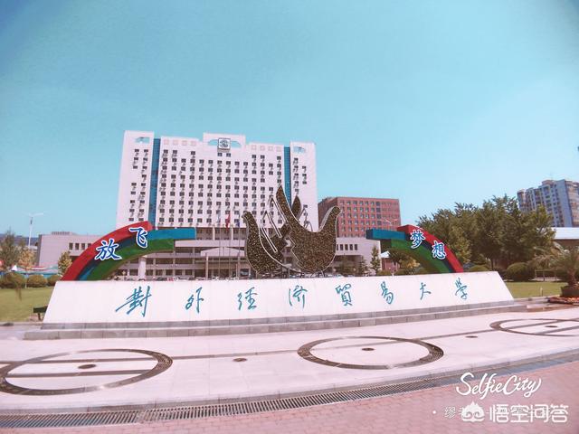 对外经贸大学好还是中央财经大学好（对外经济贸易大学跟央财比较）