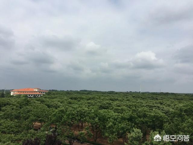 诸城美食介绍（潍坊诸城的美食）