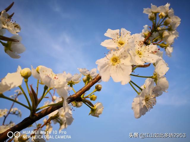 今年过年还能旅游吗（今年国内旅游还能去吗）