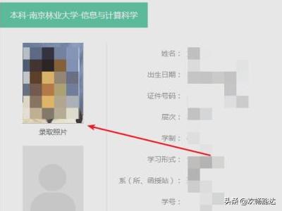 学信网的照片怎么弄出来（学信网上怎么查看自己的照片）