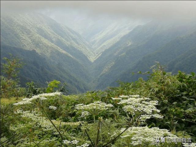 贵州省梵净山简介（贵州梵净山具体位置）