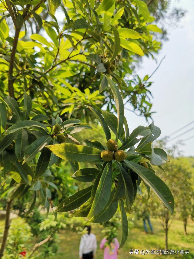 疫情期间门店生意差,要怎么提升（疫情过后生意越来越差）