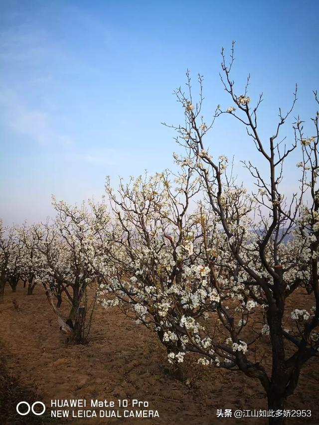 今年过年还能旅游吗（今年国内旅游还能去吗）