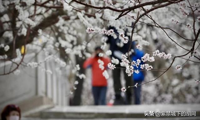 阳春三月，春暖花开，疫情没有彻底结束前适合外出旅游踏青吗？