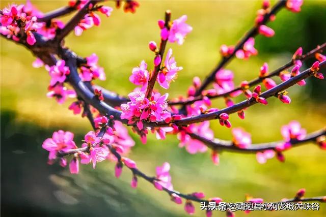 疫情原因不能去旅游看风景了，大家所在地有什么好看的风景照，求分享？