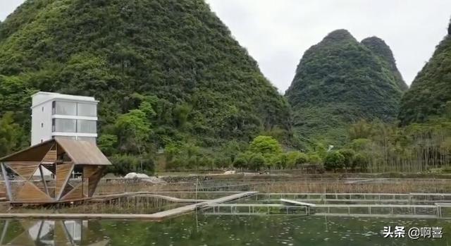 阳春三月，春暖花开，疫情没有彻底结束前适合外出旅游踏青吗？