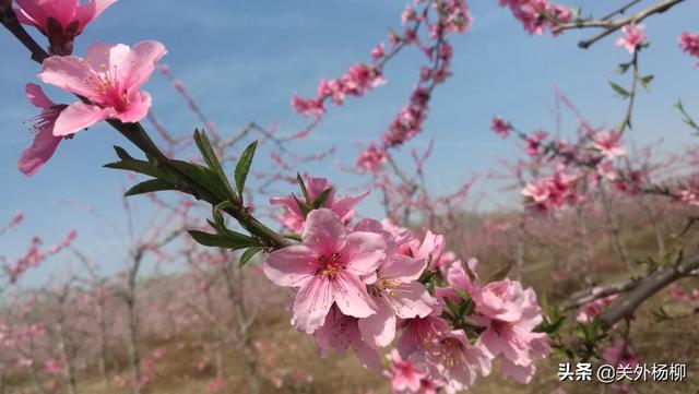 弱弱的问句：年四月中旬出门旅行（国内游）可以不？你怎么看？