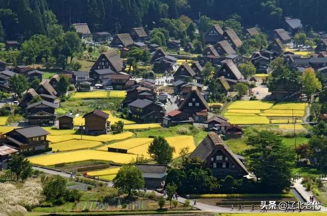 日本人真的很冷漠吗（日本人都很冷漠吗）