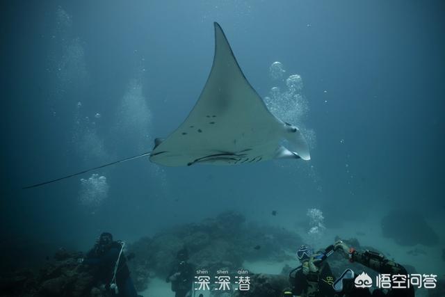 帕劳能去吗（帕劳旅游攻略费用）