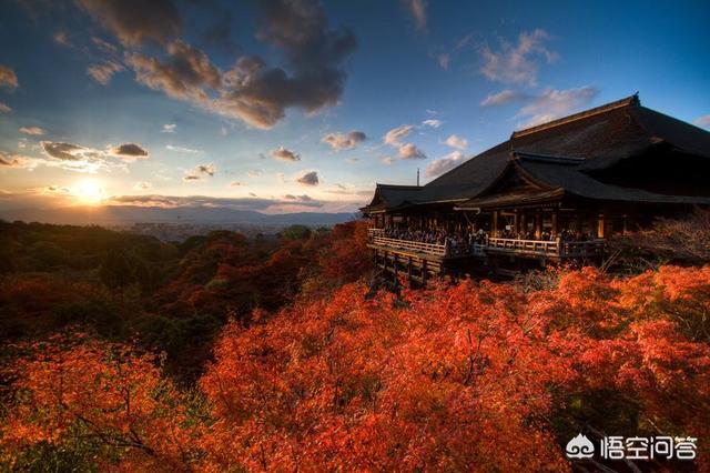 日本旅游建议路线（去日本有什么交通方式）