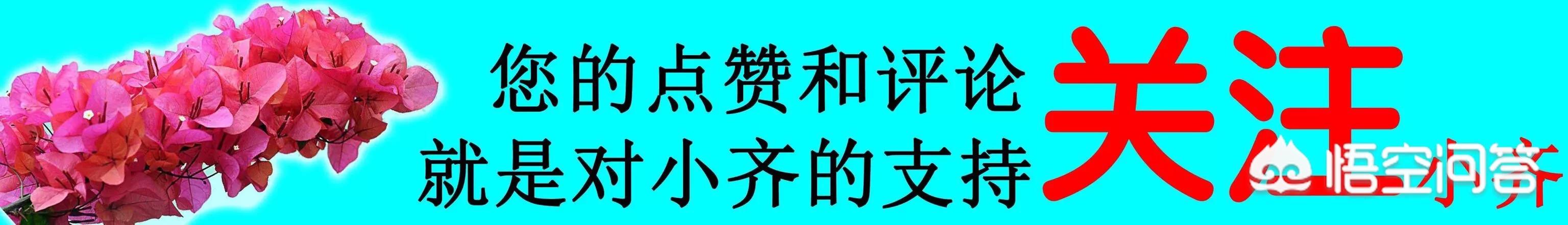 水培风信子养殖方法和注意事项有哪些（水培风信子怎么养殖）