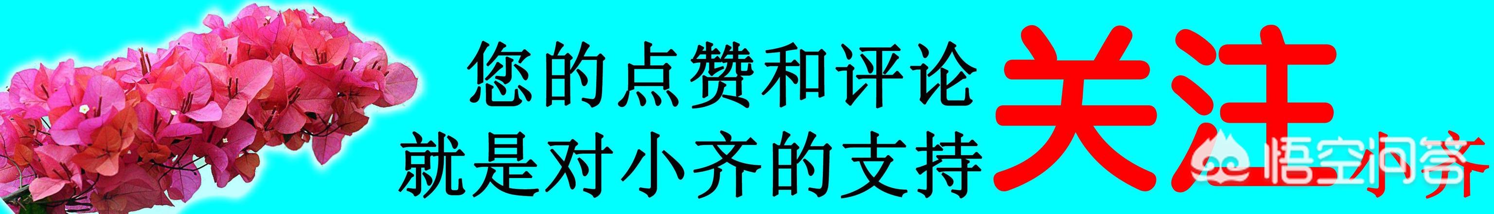 风信子水培长根后可以土培吗（风信子水培后能土培吗）