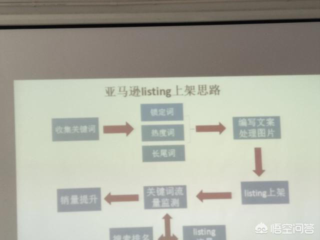 亚马逊是啥东西（亚马逊是个什么东西）