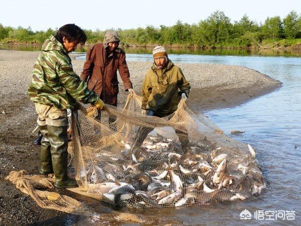 俄罗斯赫哲族有多少人（赫哲族人主要生活在我国的）