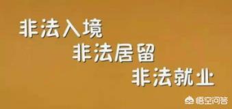 深圳一企业聘用名“三非”外国人，老板和员工都被拘留,你怎么看？