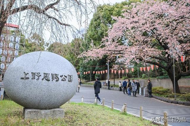 东京赏樱花的地方（东京赏樱花最佳地点）