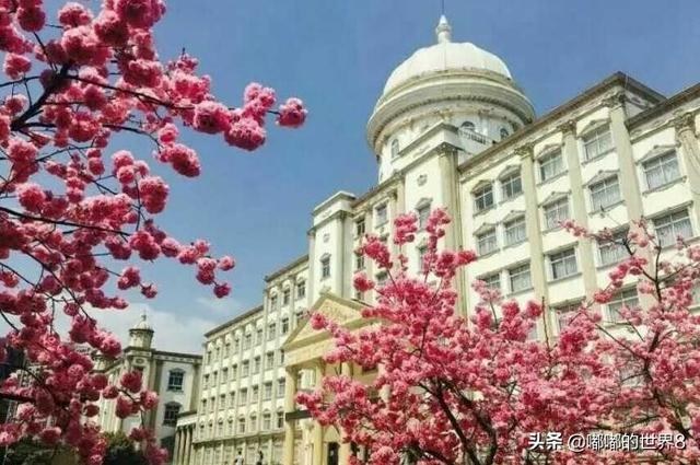 云南大学师范商学院怎么样（云南师范大学商学院好吗）