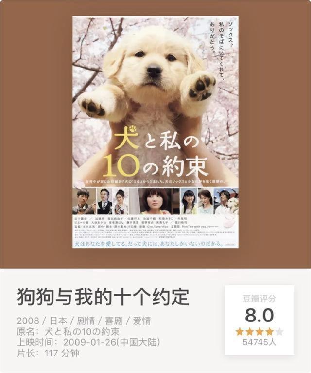 除了《忠犬八公》，《星守之犬》，《多哥》还有哪些让人泪奔电影吗？