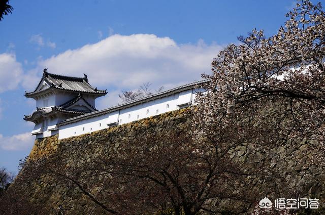 去日本旅游的景点（去日本哪里旅游）