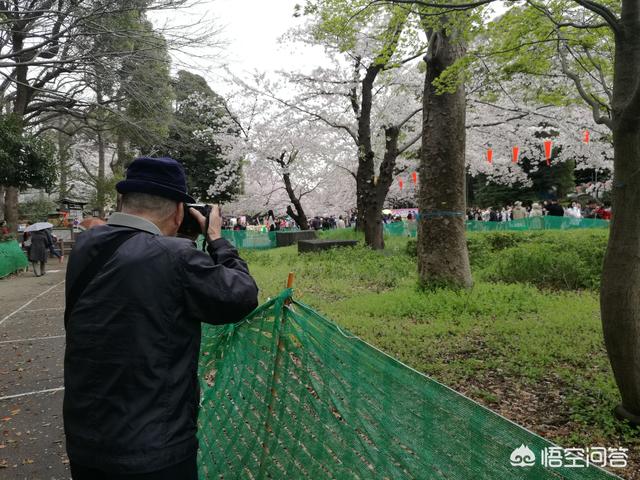 去日本旅游的景点（去日本哪里旅游）