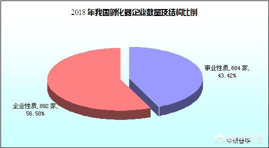 企业孵化器公司前景（孵化器发展前景）