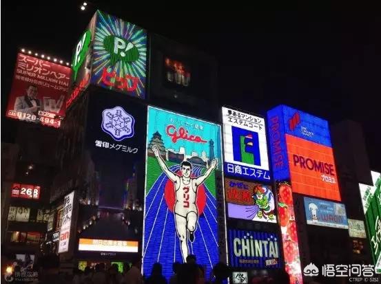 去日本旅游的景点（去日本哪里旅游）