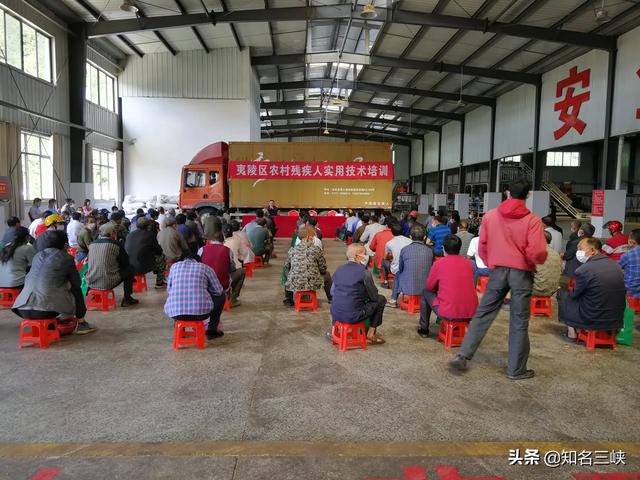 基地销售模式（企业基地农户三结合运行机制发展前景）