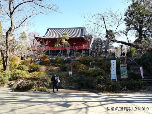 东京赏樱花的地方（东京赏樱花最佳地点）